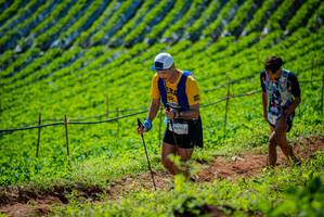 BIB: 9676
                            <button type="button" onclick="openModal(19162500)" class="btn btn-primary btn-sm float-right btn-popup" data-toggle="modal" data-target=".modal-high-quality">
                        <i class="fas fa-shopping-cart"></i> Add to Cart
                    </button>
                                            <button type="button" onclick="isThisMe(19162500, true)" class="btn btn-success btn-sm float-right btn-popup btn-isme hidden" data-toggle="tooltip" data-placement="bottom" title="นี่คือรูปของคุณใช่ไหม คลิกที่นี่เพื่อเอาเข้าอัลบั้ม">
                        <i class="fas fa-plus"></i> Add to album
                    </button>
                    <button type="button" onclick="isThisMe(19162500, false)" class="btn btn-warning btn-sm float-right btn-popup btn-isnotme hidden">
                        <i class="fas fa-ban"></i> Remove from album
                    </button>